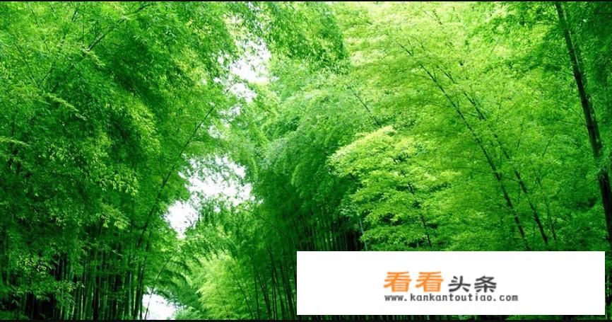 四川两天时间可以去哪些旅游景点玩？