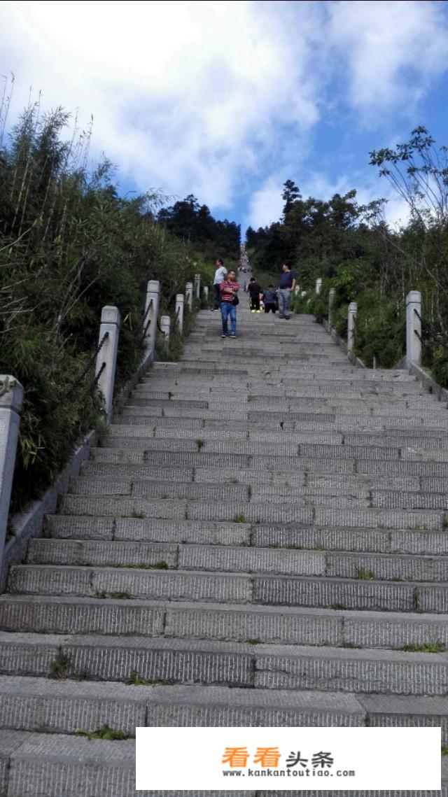 华天旅行社的产品有哪些？