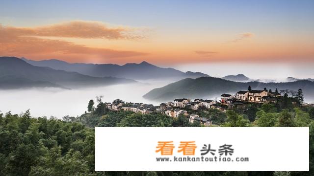 养只萌呆镇镇宅故事概括？