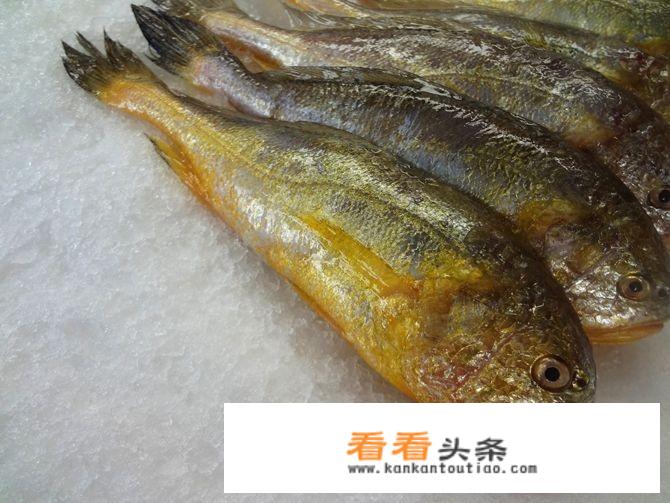 小黄鱼怎么做？