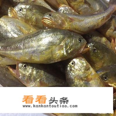 小黄鱼怎么做？