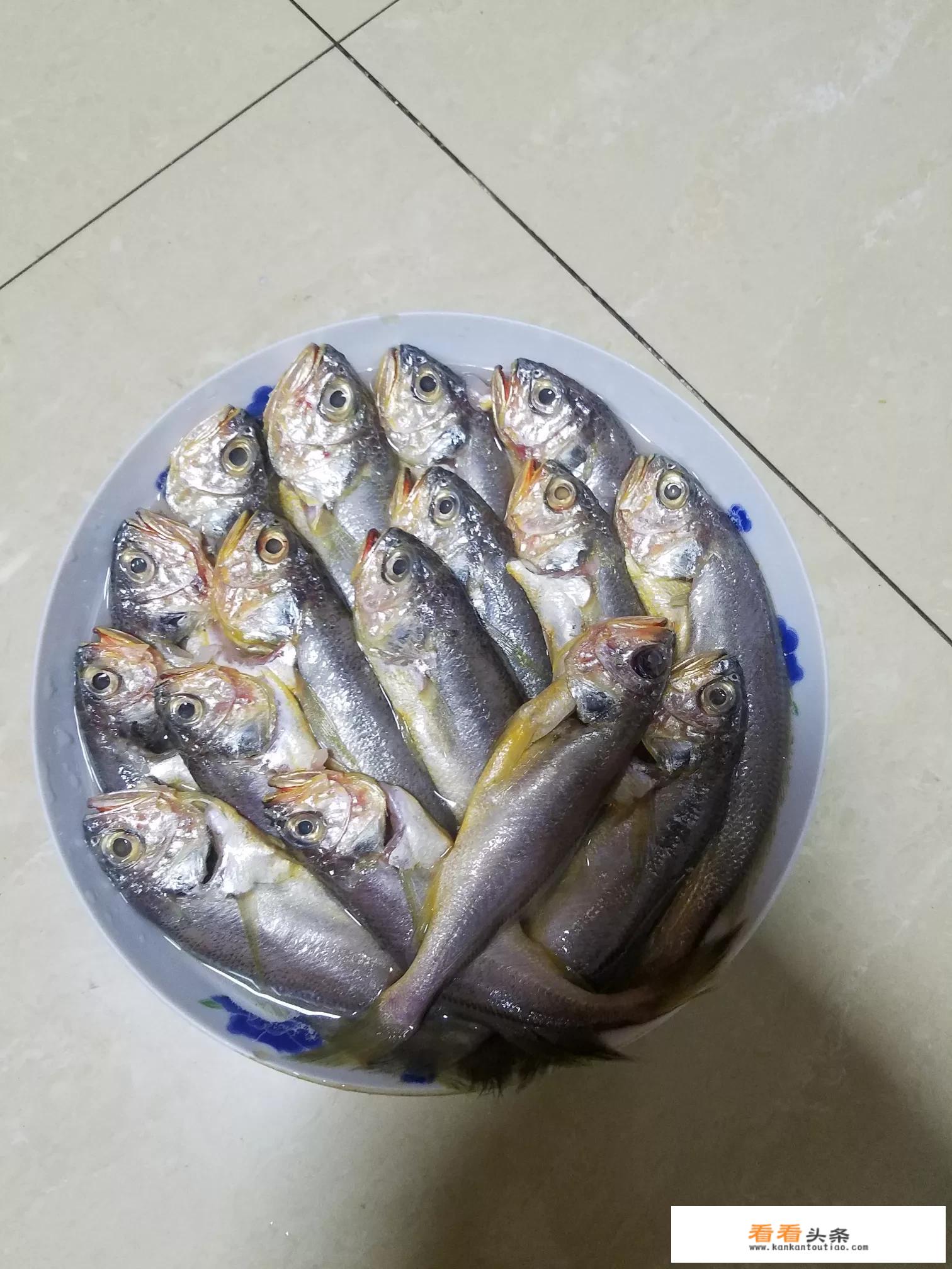 小黄鱼怎么做？