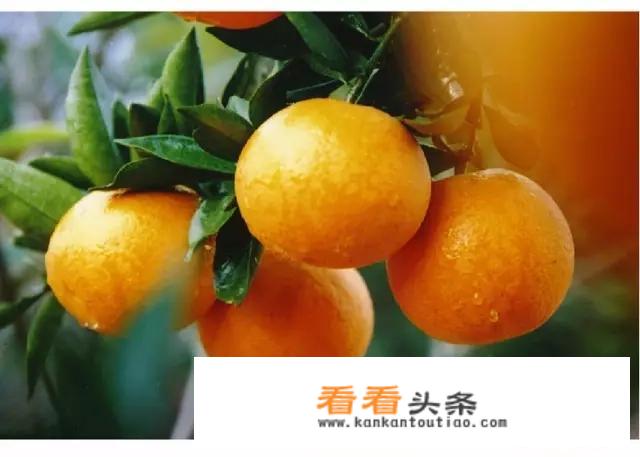 靖安的风景，特产，历史名人，胜地有哪些？