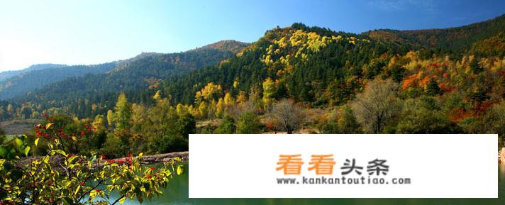 吕梁苍儿会生态旅游区怎么样？