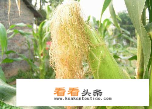 大家对于高血压有没有有效的治疗方法或者偏方？