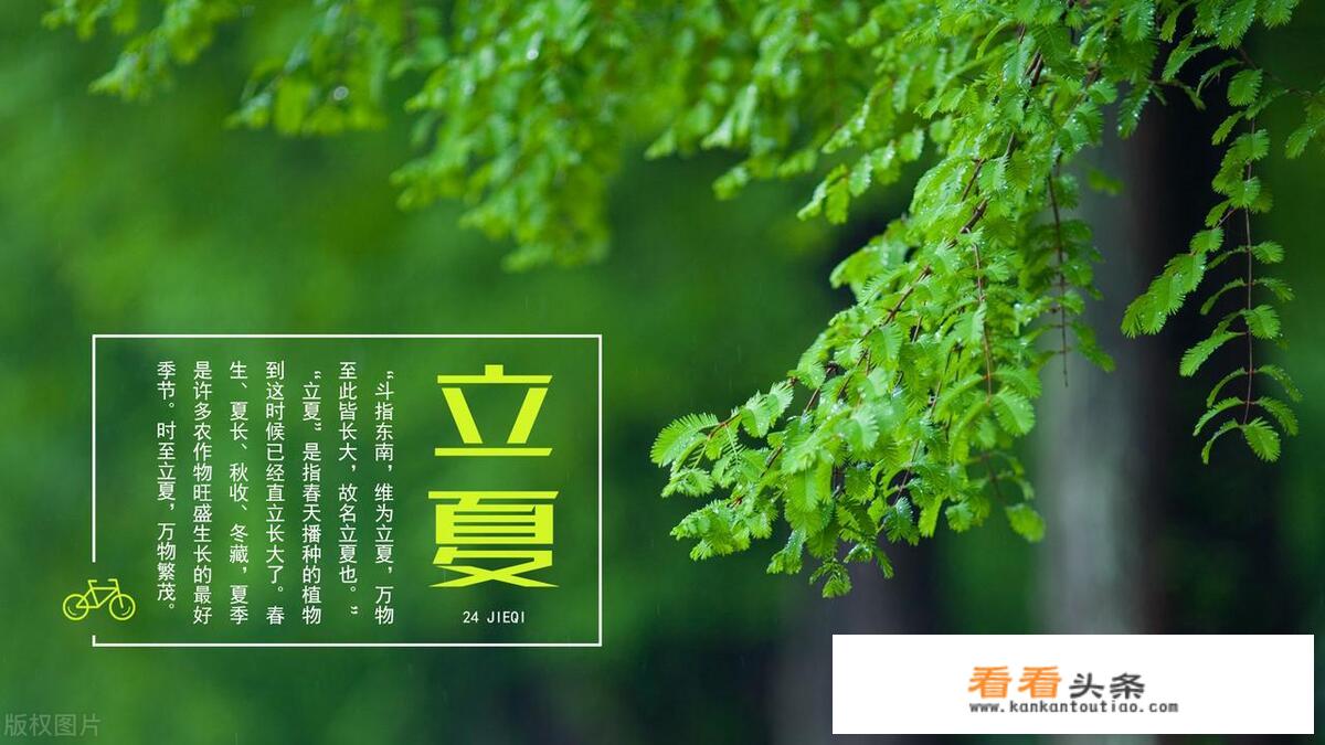 立夏蛋的风俗哪里有？