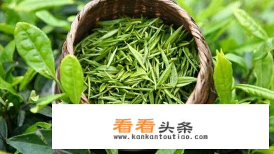 男人喝红茶的好处和坏处喝红茶注意哪些事情？