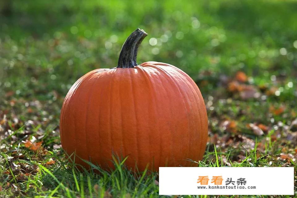 如何讲好感恩课？