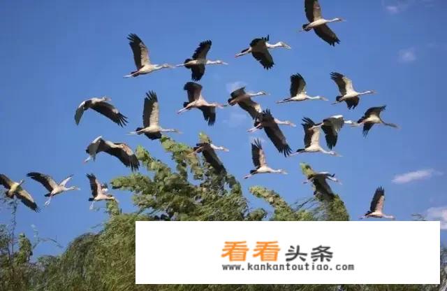 1月份去杭州游玩好不好？