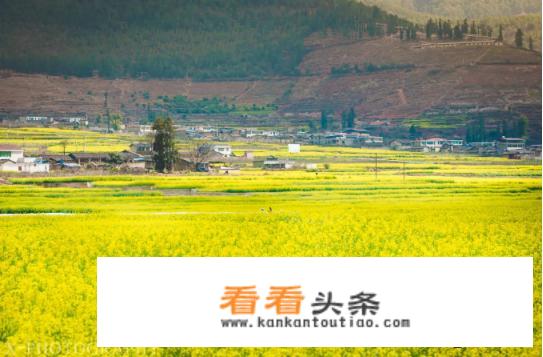攀枝花市区内旅游景点？