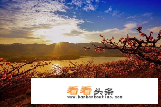 攀枝花市区内旅游景点？