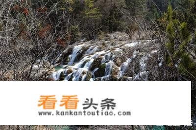 九寨沟2019年客流量？