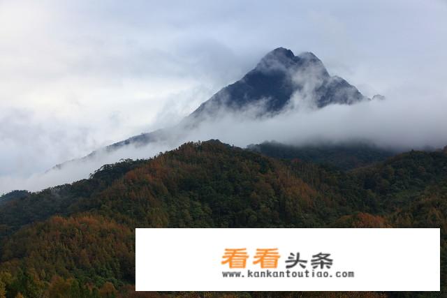 从海口开车去三亚，路上有哪些好玩的、好吃的，有没有知道的？