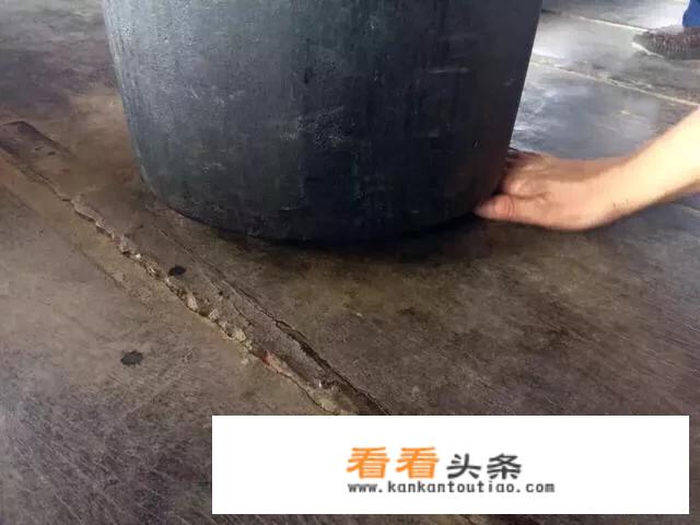 2020年广西旅游各市排名？