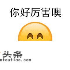 抽水马桶的温柔情话？
