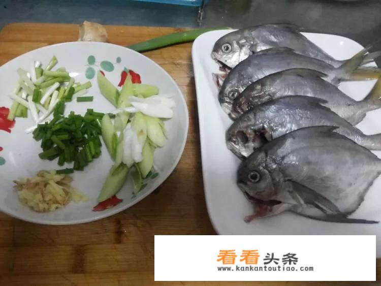 银鲳鱼和金鲳鱼有什么区别？