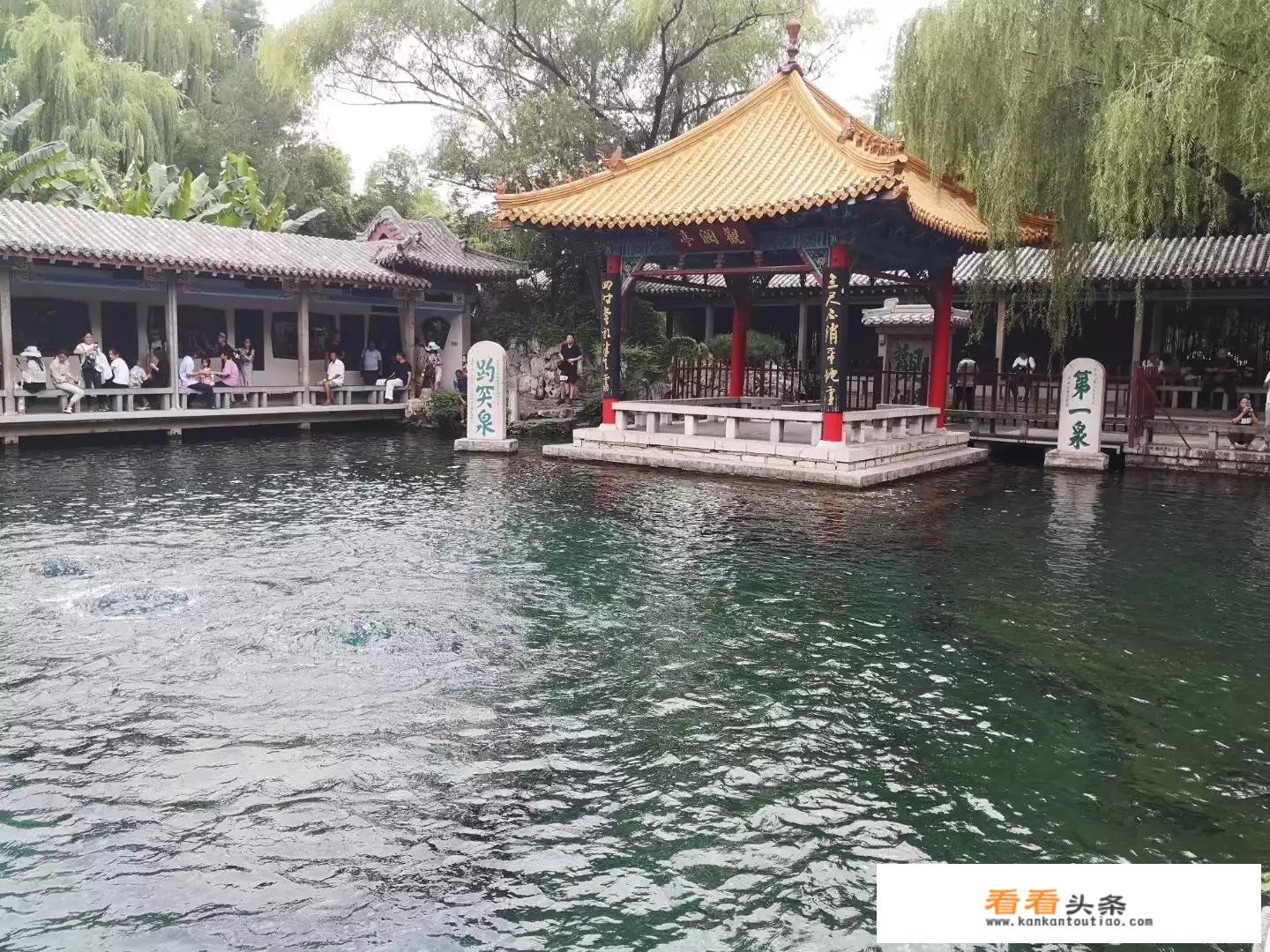 菏泽附近有什么好玩的？