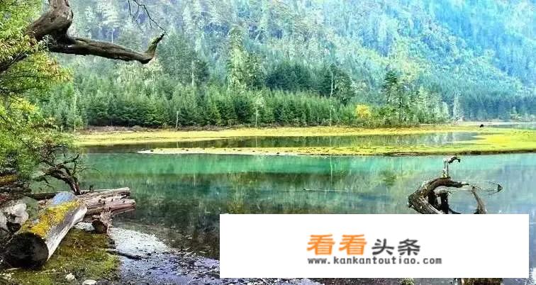 最适合6岁的孩子去的旅游景点有哪些？