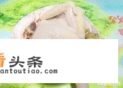 清炖鸡块儿做法？清炖鸡块儿的烹饪秘诀是什么？