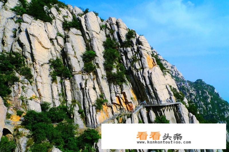 河南旅游年票哪里办？
