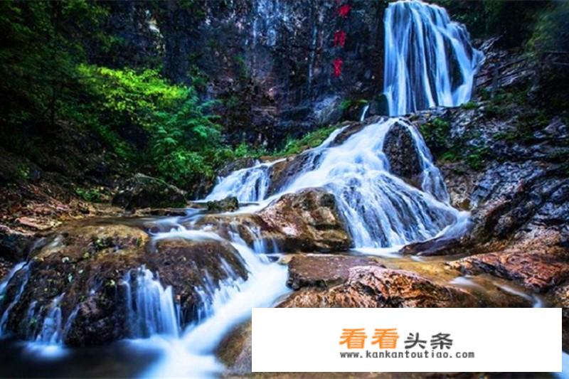 河南旅游年票哪里办？