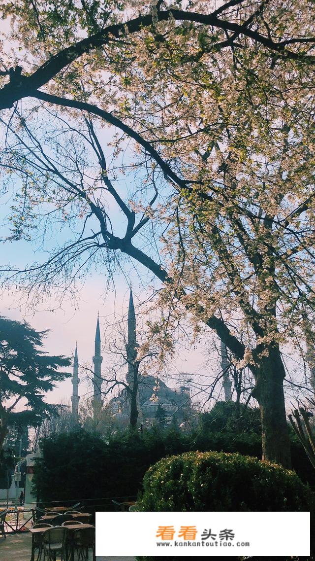有些人去旅游即使拍了自己的照片都不敢发朋友圈，是不是很自卑？