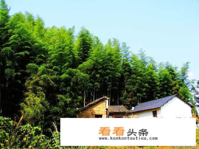 湖州有哪些博物馆呢？