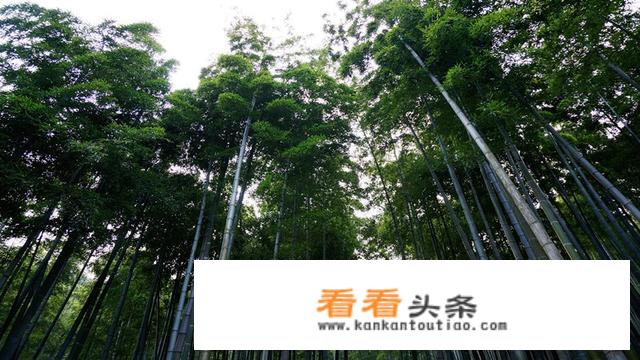 浙江安吉有哪些景区？