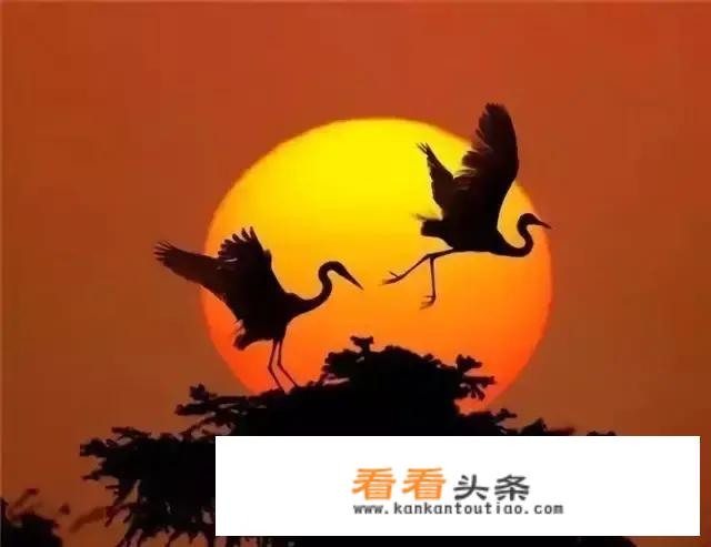 适合老人去的餐厅北京自助餐厅？