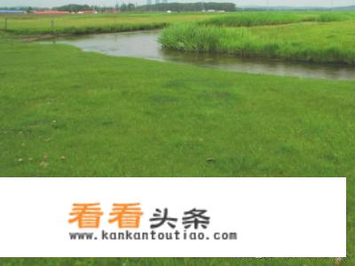 去张家口必游的十大景点都是哪里？