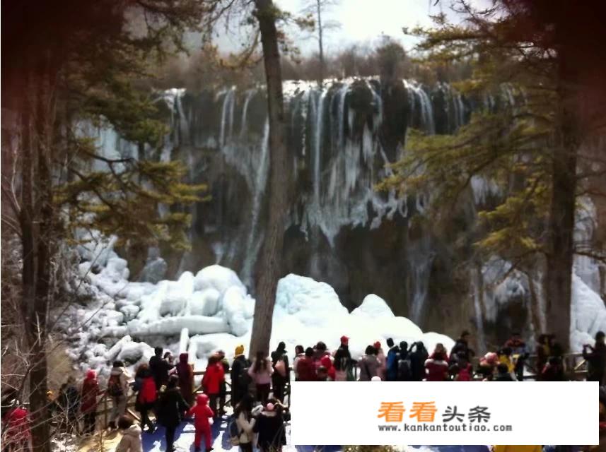 冬季九寨沟门票？