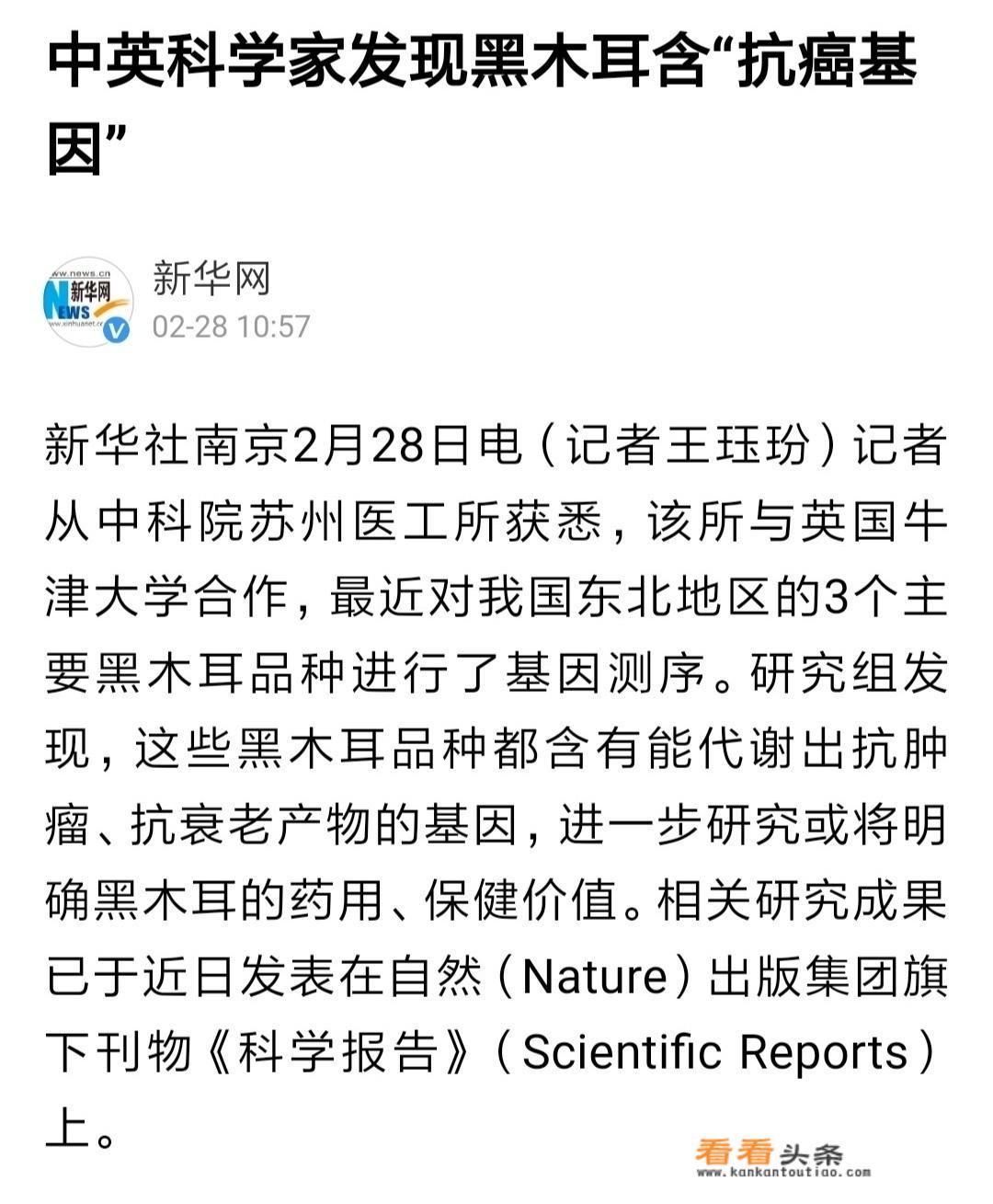 木耳可以多吃吗？木耳食用量及健康影响探讨，能否多吃？