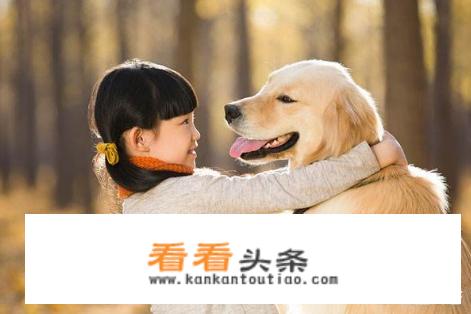 我的宠物狗狗不想要了怎么办？