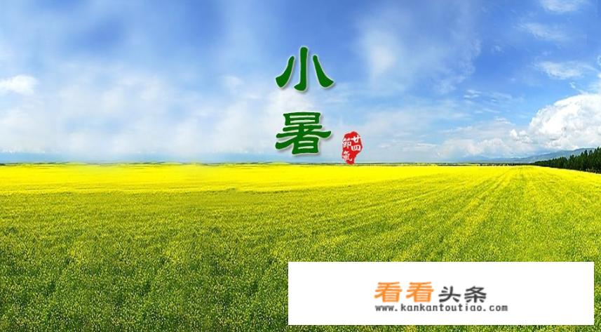 小暑的节气习俗是什么？