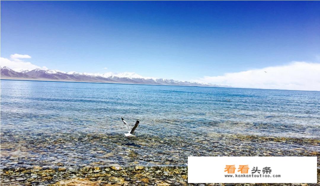 8月份去东北和蒙古旅游可以吗？