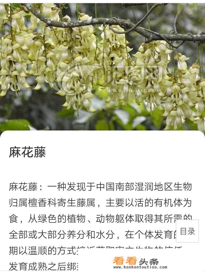 腾讯要打造电竞之都。下面说 *** 游戏的危害。你们说到底信谁的？