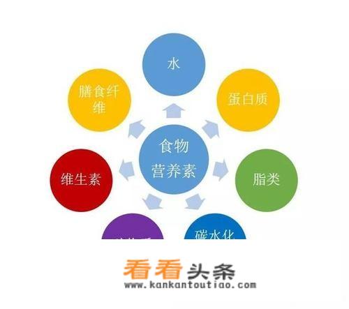 冬瓜海带汤怎么做会白？