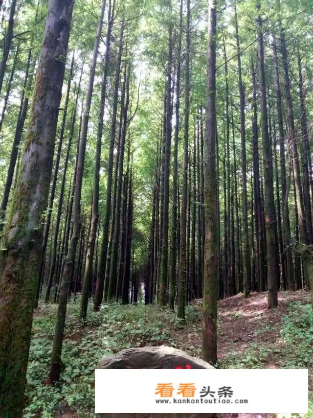 重庆哪个火车站附近景点多？