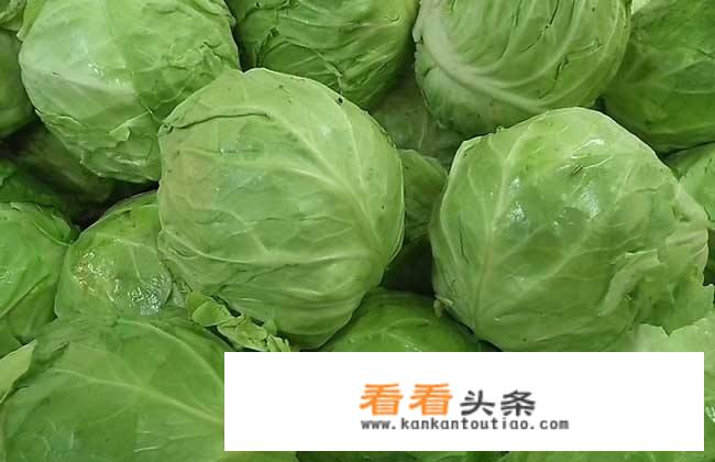 食用圆白菜有抗癌的功效吗？