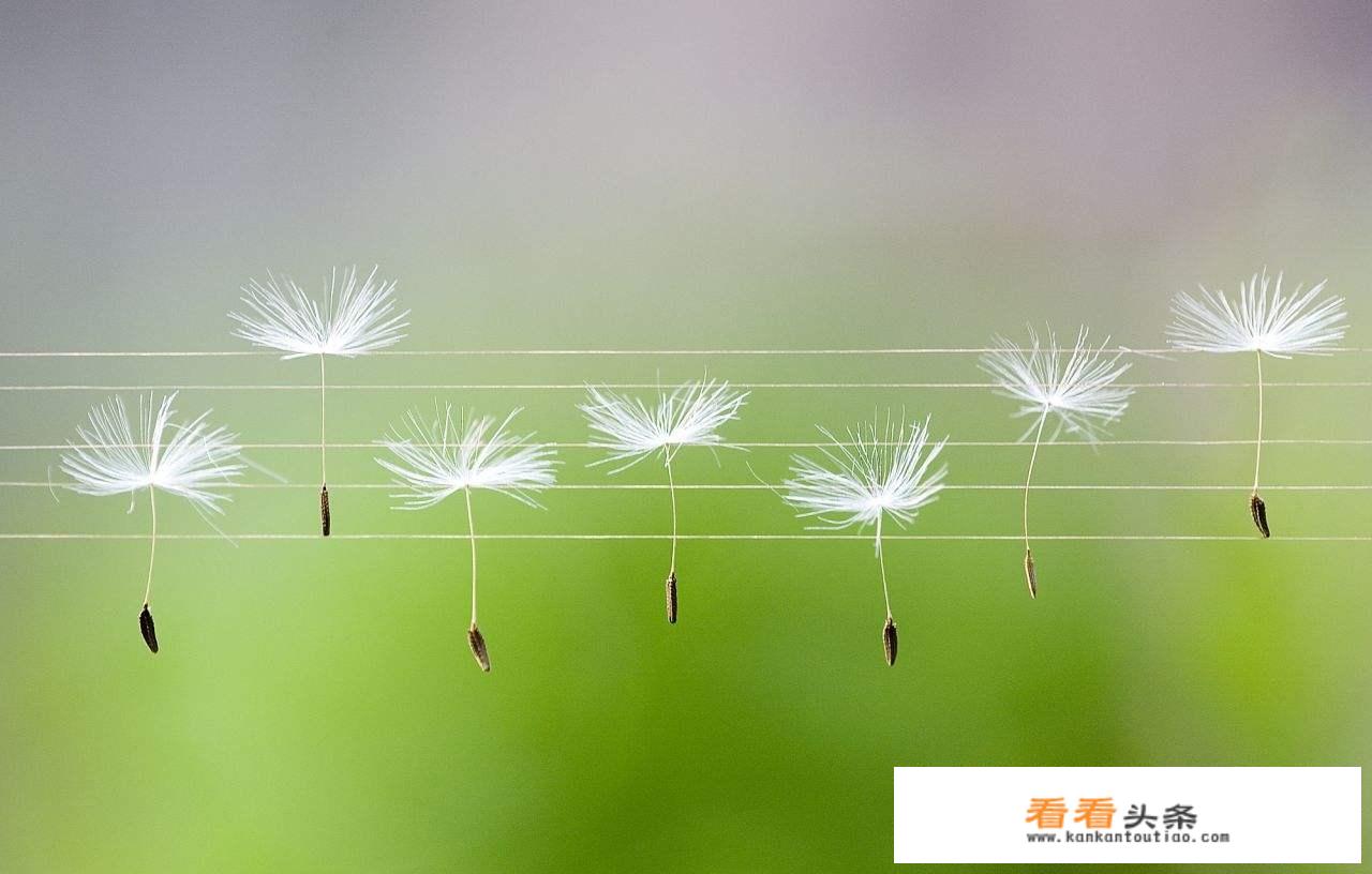 如果你前女友得了绝症，她唯一的愿望就是让你陪她去旅行，走完人生最后一段路，你愿意吗？