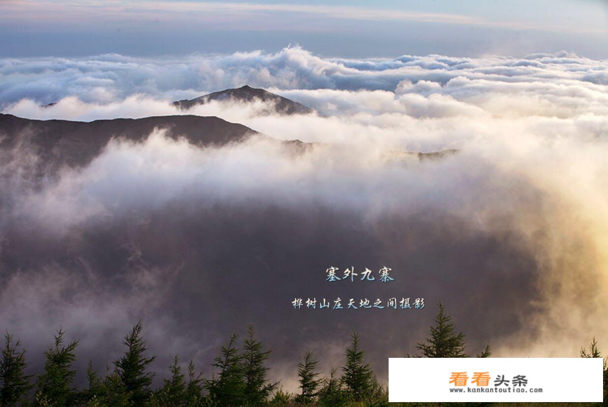 沧州附近自驾游三天能去哪？