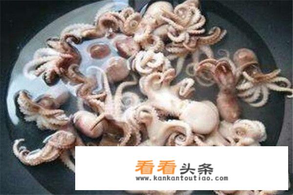 八爪鱼家常做法？