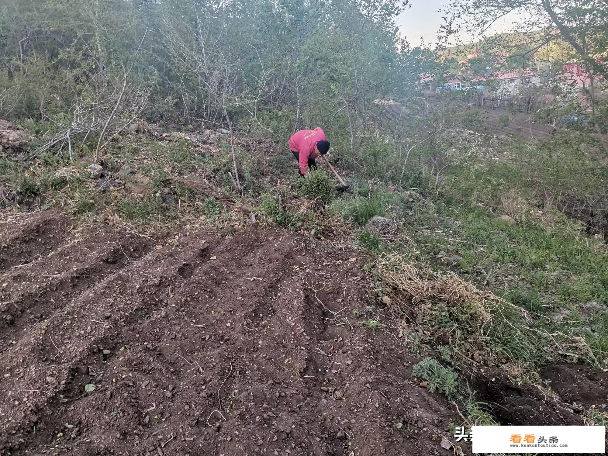 旅游随笔什么意思？