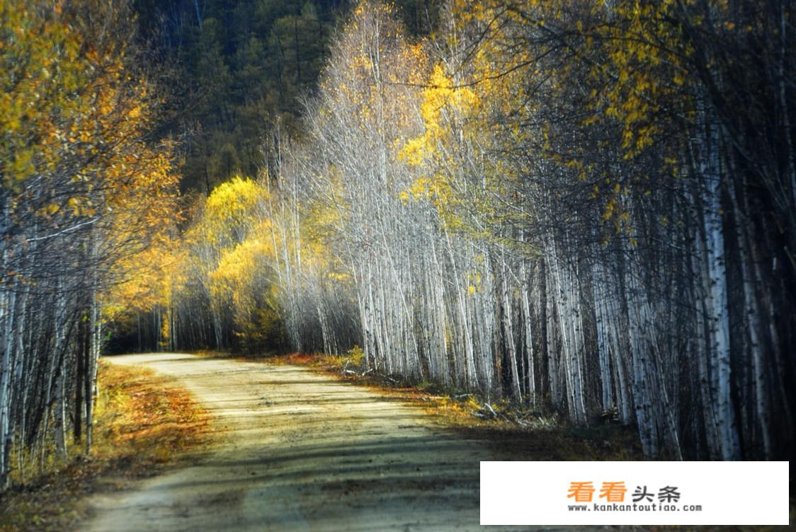 去北极村自驾旅游攻略？