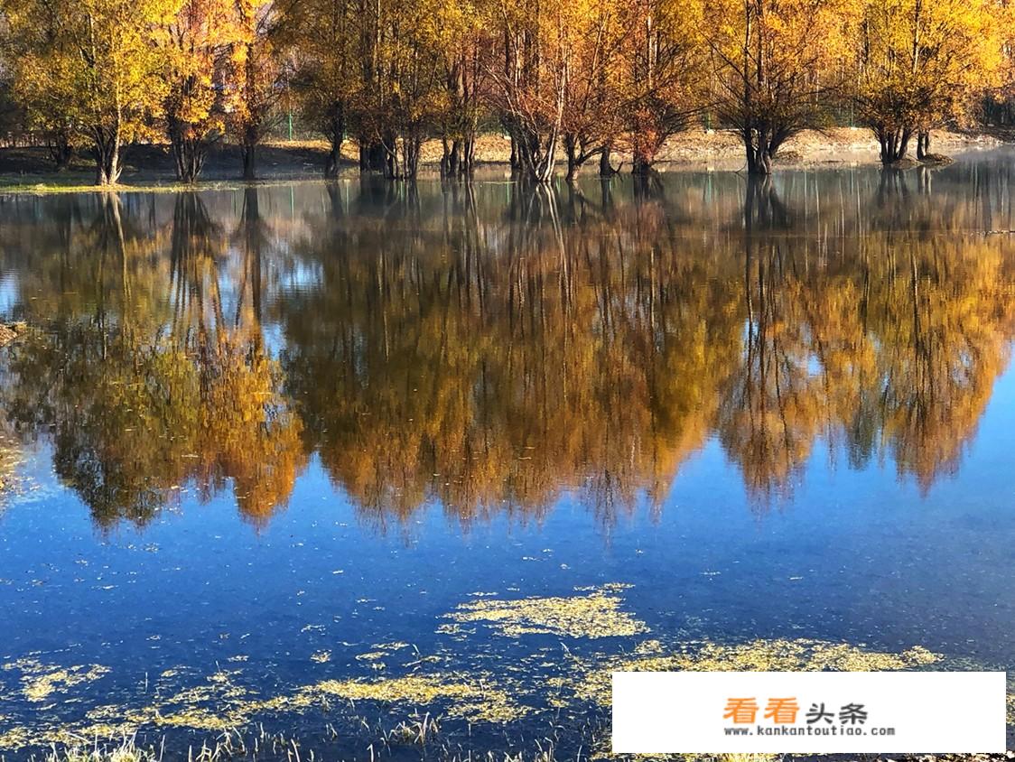 去北极村自驾旅游攻略？