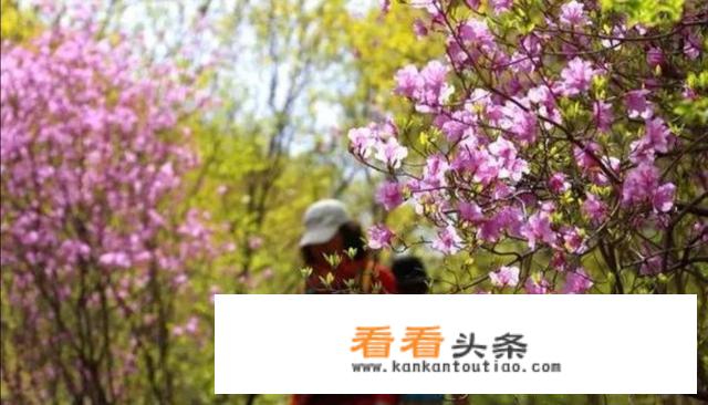 十月一去哪里旅游比较好？