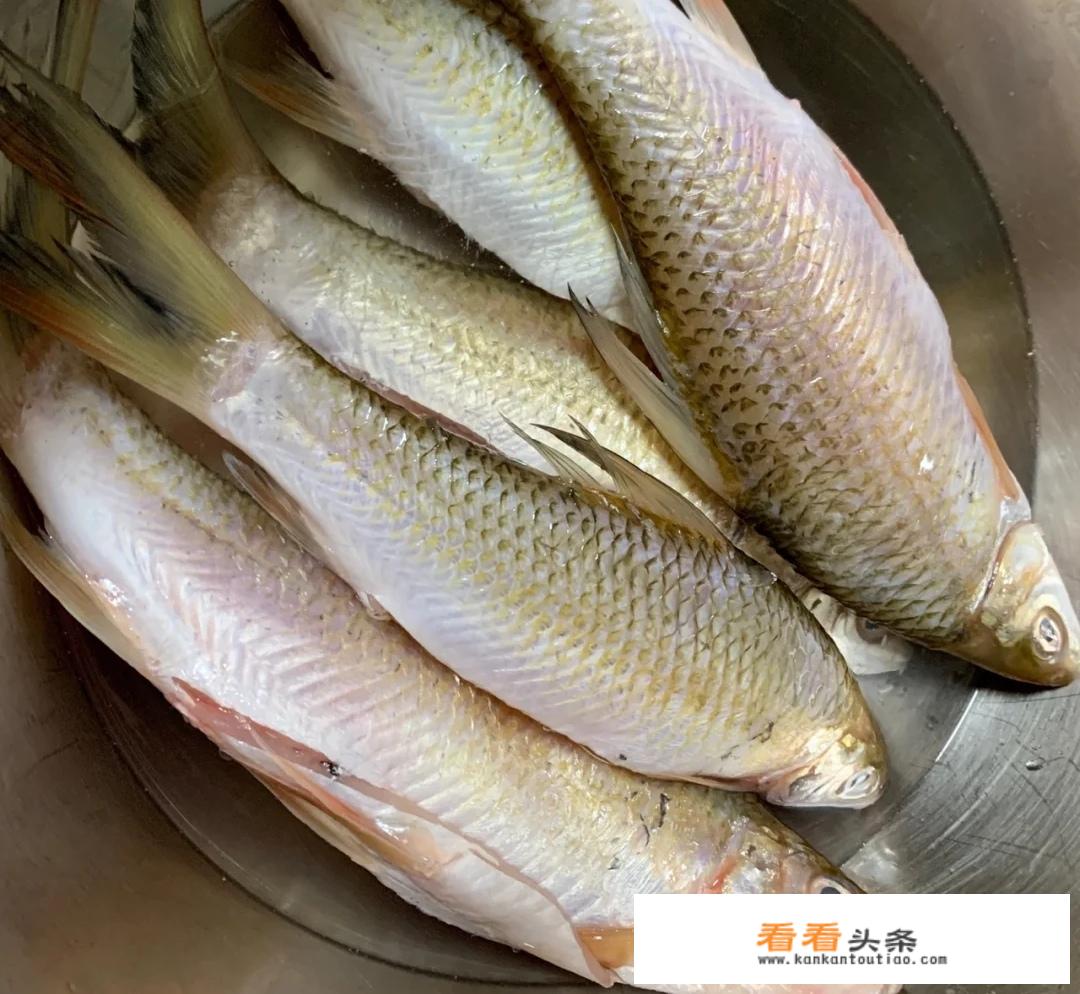 自制手工鱼丸的做法？