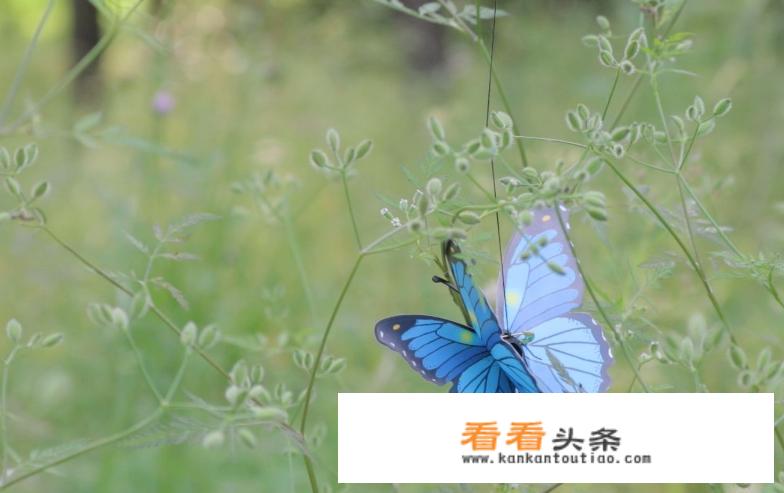 数媒专业电脑配置推荐？