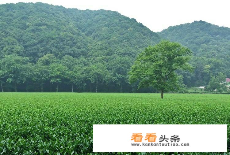 八月下旬去杭州旅游，请问是多雨还是晒啊？