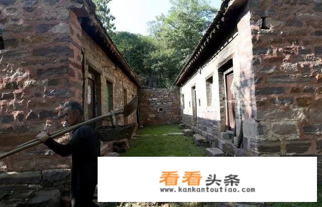 老话说“每个村子都会有傻子”，你们认同这句话吗？为什么？